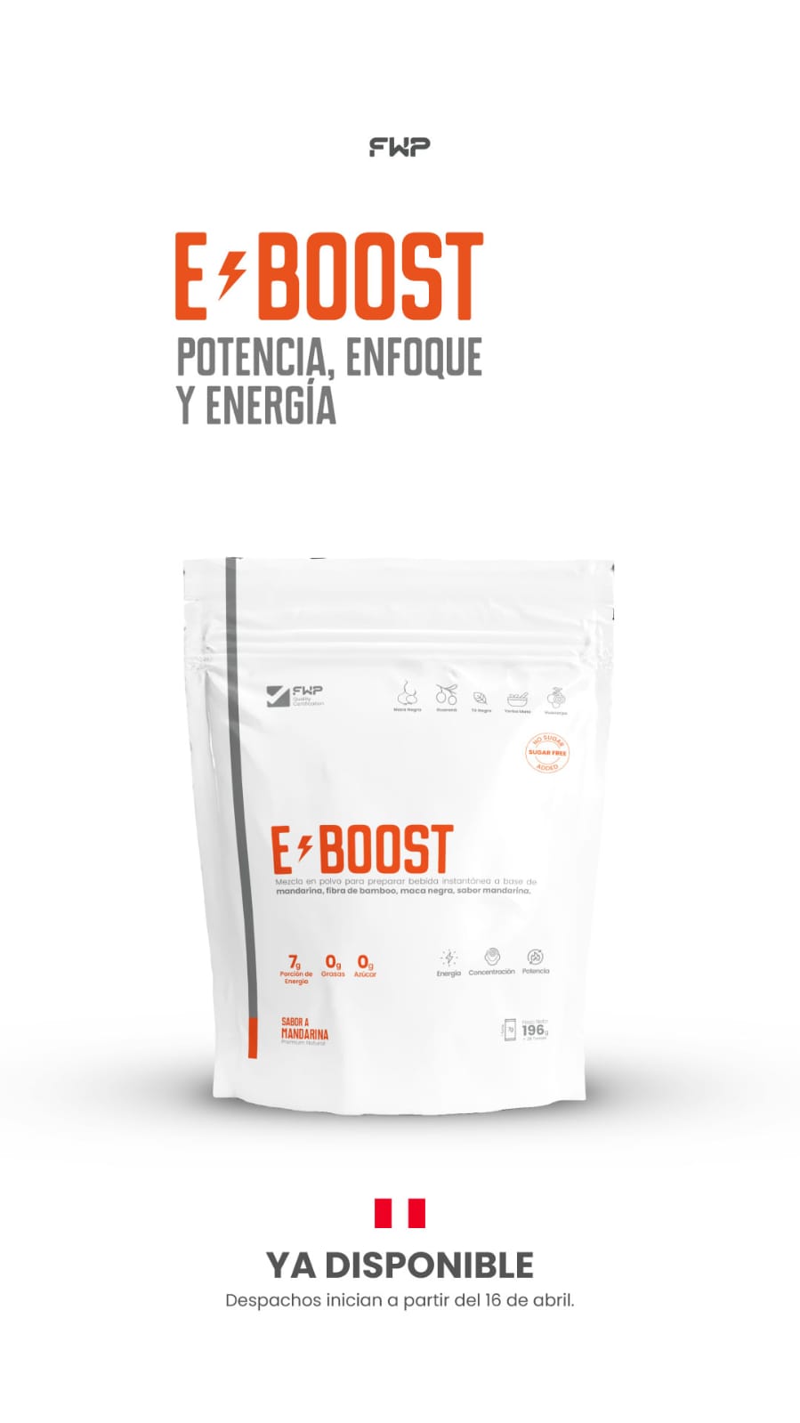 E-BOOST - POTENCIA, ENFOQUE Y ENERGÍA
